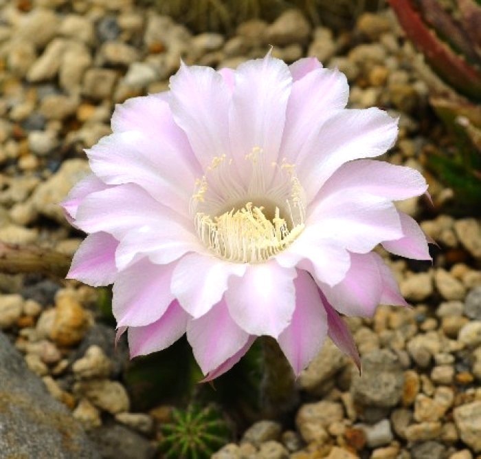 睿智!让人受用一生的句子,深刻睿智,受益匪浅