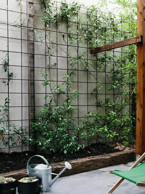 别有洞天|传统庭院过时了,现在流行下沉式庭院,曲径通幽,让家别有洞天