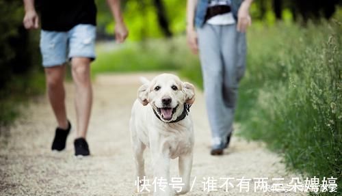 身材|降低体脂率才是减肥的关键,学习4个方法,让身材暴瘦一圈!