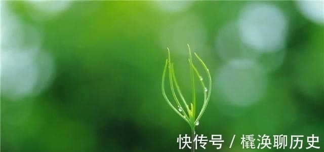 天不渡人#人生逆境时，用这3种方法自救，天不渡人，人自渡