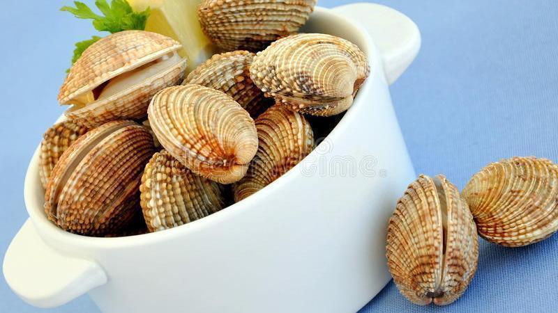 花蛤吐沙小技巧,不用只会用盐水,教你更好的方法,快速吐干净