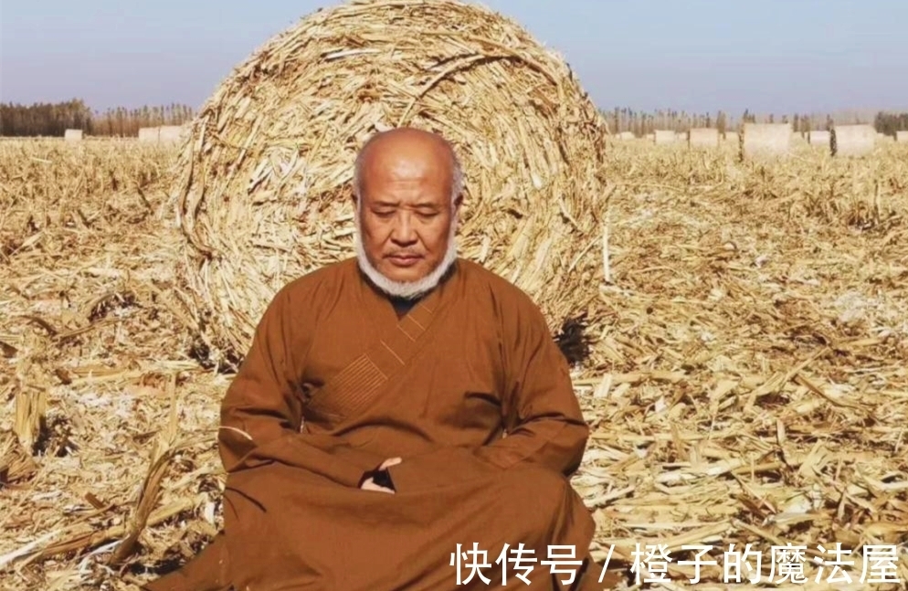 出家$画家杨彦53岁花四千万娶24岁非洲娇妻,60岁出家,他为何这样做?