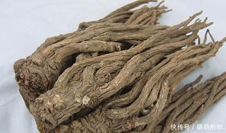 当归这个外用方法可以提靓我们的肌肤,保持青春