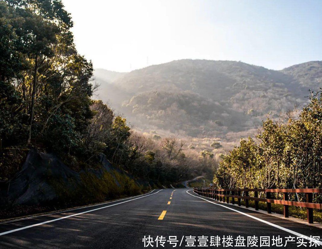 普陀最美公路螺塘线饱览海景，茶山还可以野炊拓展，好玩到炸裂