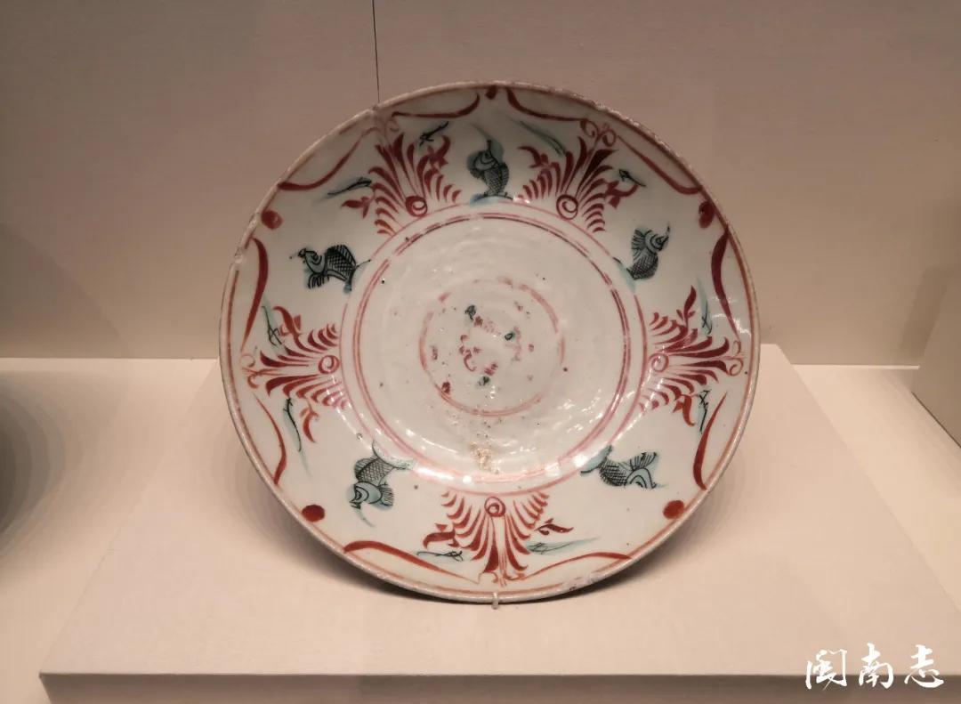 集锦|闽南志每日一图 12.07~12.13集锦