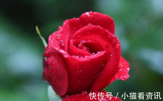 妈妈|妈妈是此三属相,生的孩子不但聪明懂事,长大后也有所作为