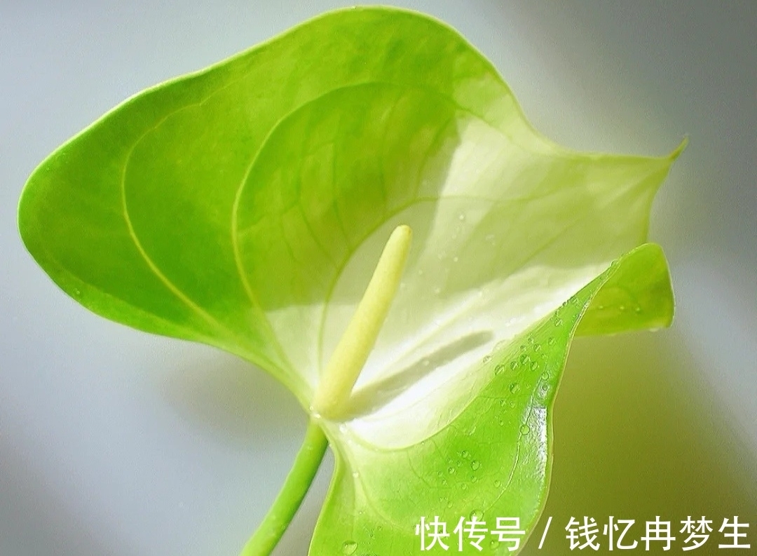 曾国藩&《道德经》有格局的人,守其雌,守其黑,守其辱,反而,有大作为