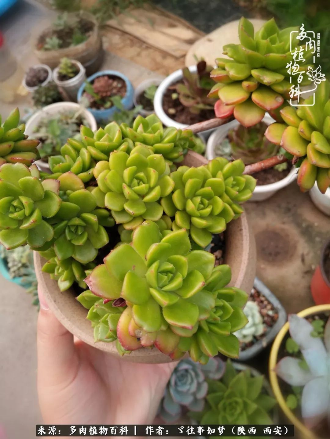 愿你付出甘之如饴,愿你所得归于欢喜!