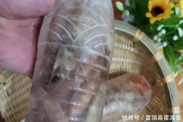 矿泉水瓶|保存鲜虾，直接塞冰箱是大错特错！多加1步，半年都鲜美不发黑