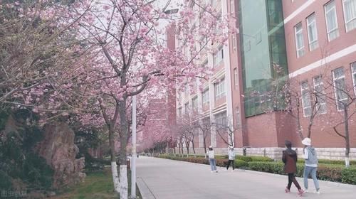 大学里常见的四大“天坑”，倘若入坑抓紧脱身，最后只是害人害己