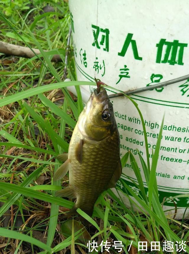 野钓小技巧浮漂做一个小改动,惊鱼几率大降