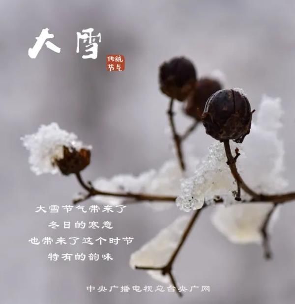  小伙伴|今日大雪！约上小伙伴一起“进补”