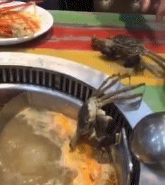 |搞笑GIF图:美女刚睡醒的样子vs你刚睡醒的样子!