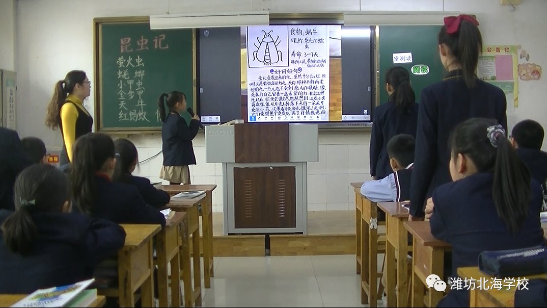 生命的礼赞——北海学校小学部举行整本书《昆虫记》阅读教研活动