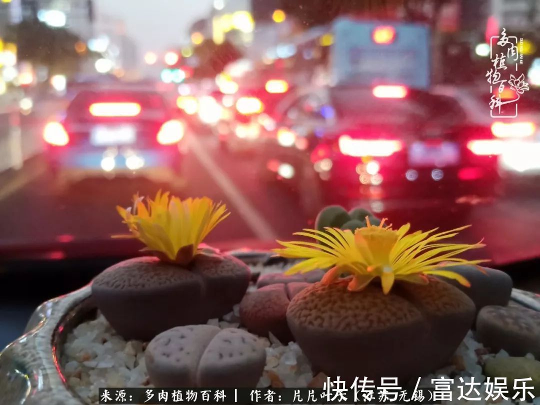 养肉路上，累并快乐着！时光不语，静待花开！