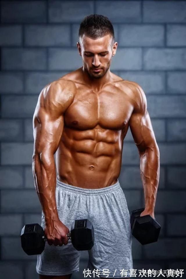 体脂率|腹肌撕裂者训练,健腹轮的5种方式,虐出马甲线,练成巧克力腹肌