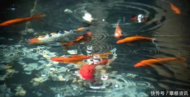 福报|为什么有的人福报那么好因为他们懂得这五件事!