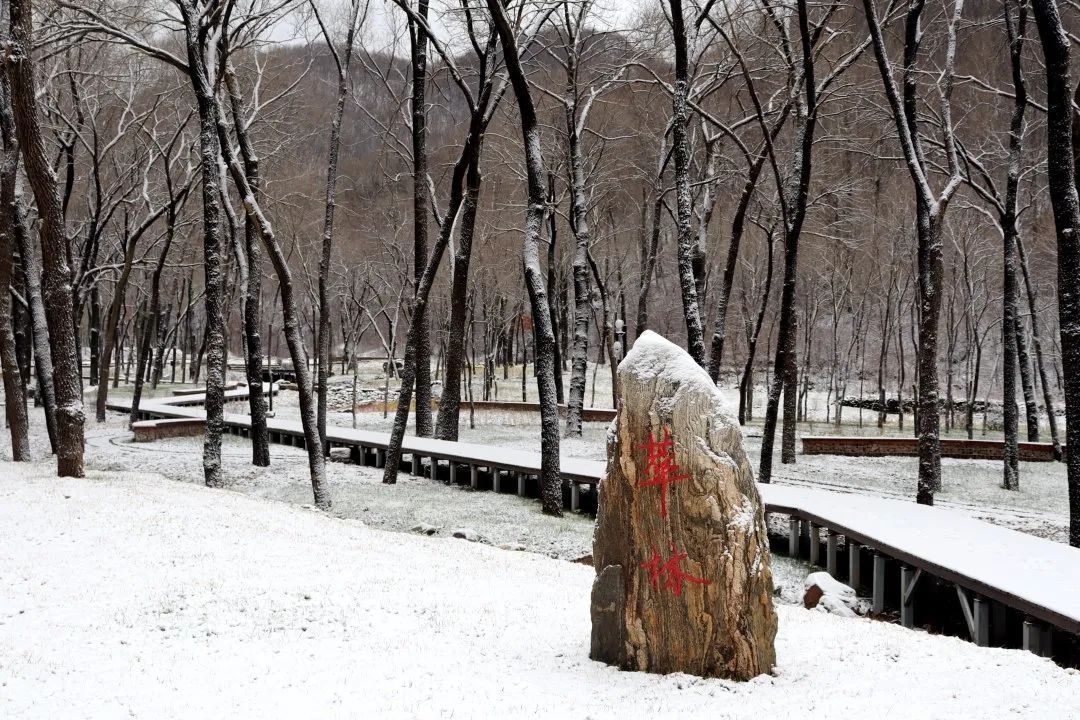 九眼楼长城|你那里没雪景了吧？哈哈，北京这里的长城上还有！