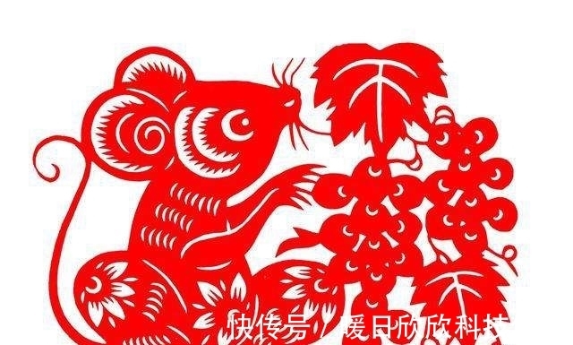 农历|生肖鼠:哪个月出生的属鼠人,一生淡泊名利,反而福气满满,十鼠九贵!