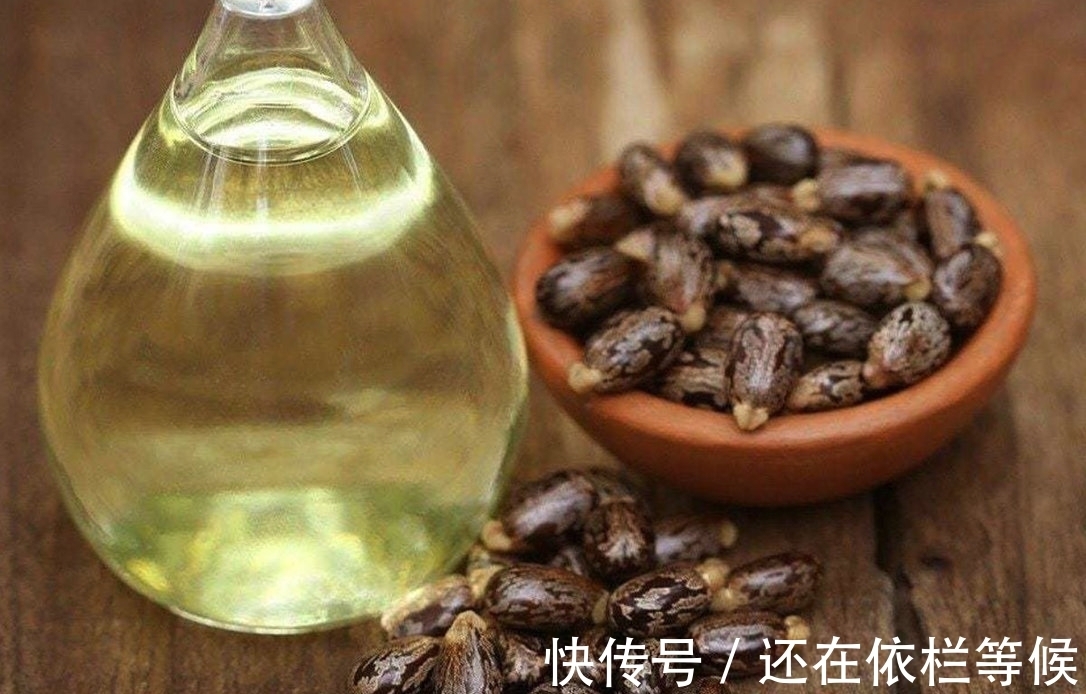 毒药|农村常见的蓖麻,却是暗杀界完美毒药,很多人小时候吃过玩过