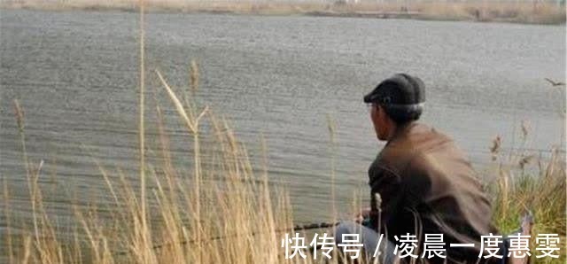 河南|河南老汉在钓到一只乌龟,背插4箭,专家你这一竿子下去18亿