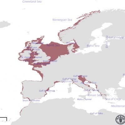 水淀粉|朴素烹饪，爱尔兰面包蟹：蟹粉豆腐低脂好滋味家常菜