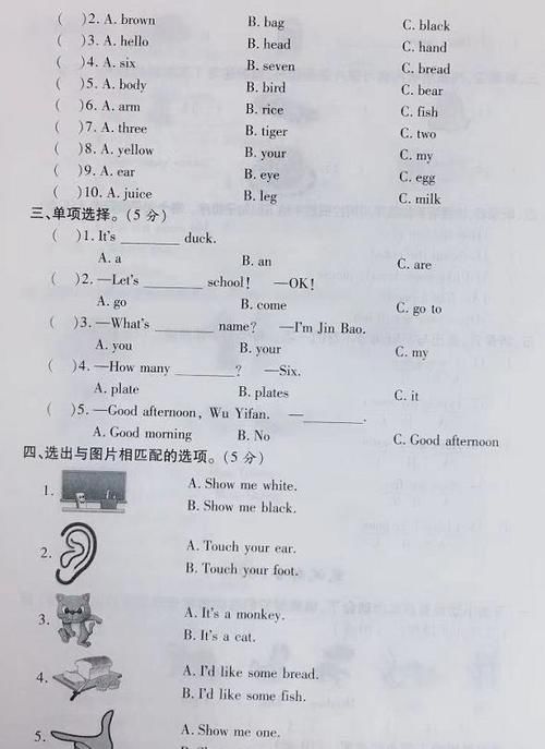 小学三年级英语上册期末测试卷，老师敲黑板：这20个句型要记牢！