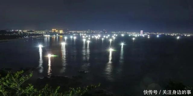 东山海鲜界的第一网红小管,究竟有多好吃!