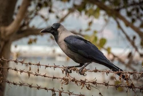 长治|去尼泊尔——尼泊尔第二大都市,博卡拉初体验