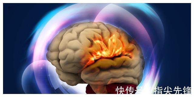 海绵宝宝|可用之处不多,但却使人渊博的23个有趣冷知识