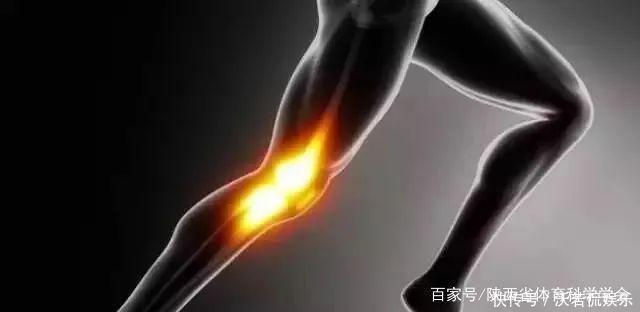 膝盖|健康跑步对膝盖有好处！测测你的膝盖年龄有多大