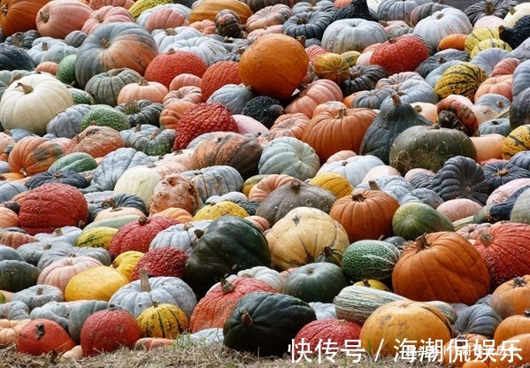 叶酸|纯天然的“叶酸”,准妈妈隔三差五吃,“药补”还是不如“食补”