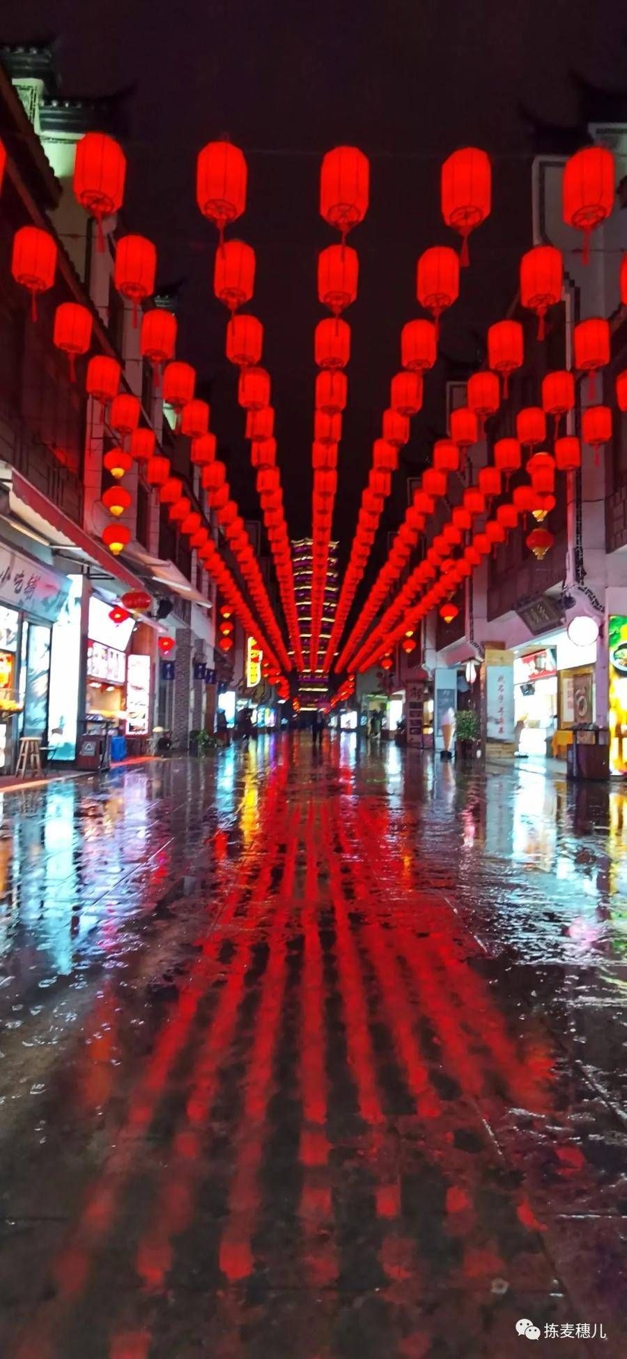 大竹海|正月下江南（1）雨中游太湖古镇，游览雪后中国大竹海