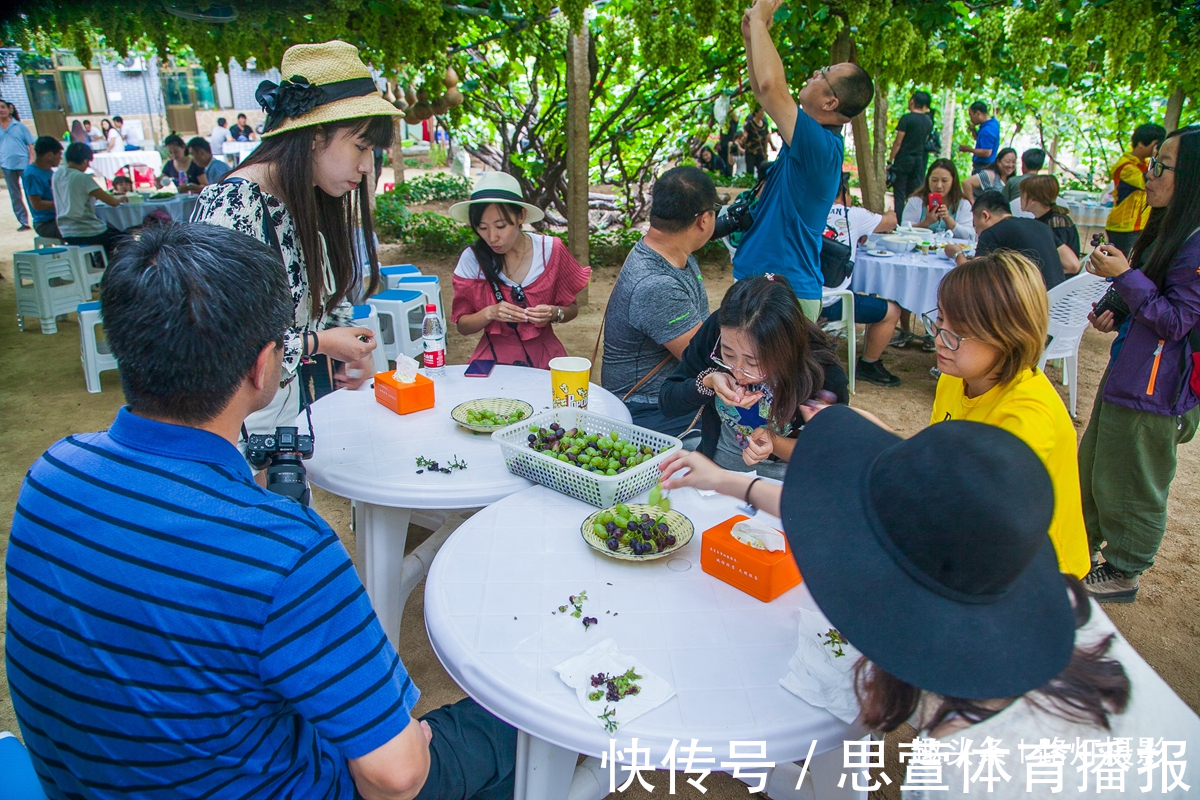 葡萄小镇|河北最美的3处避暑胜地，云海翻腾，群峰竞秀，仿若置身梦幻仙境