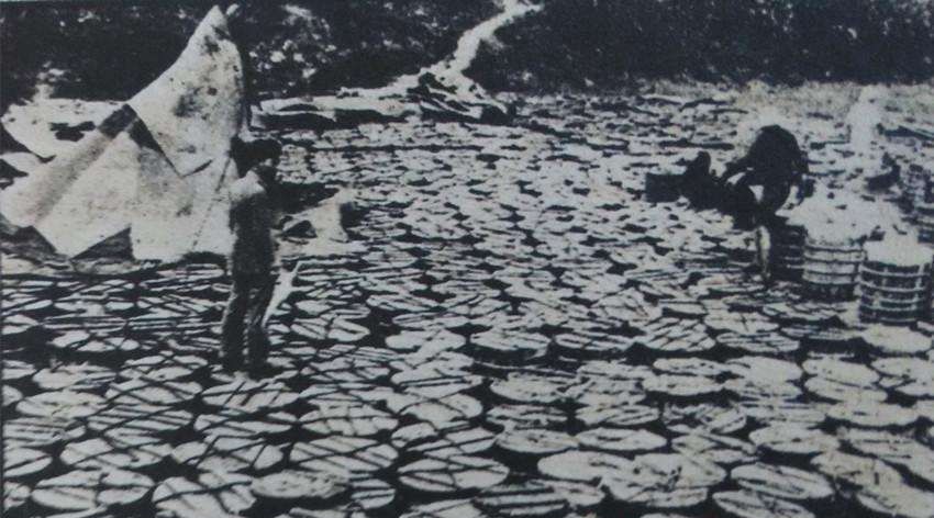 美方|抗战初期，70吨桐油能换一架战斗机，美方：用桐油来抵押贷款