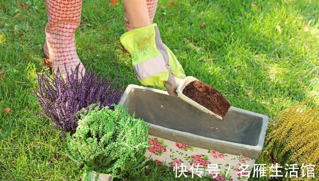 养花的土壤板结?加上4种东西,土壤疏松有劲,养啥都省心