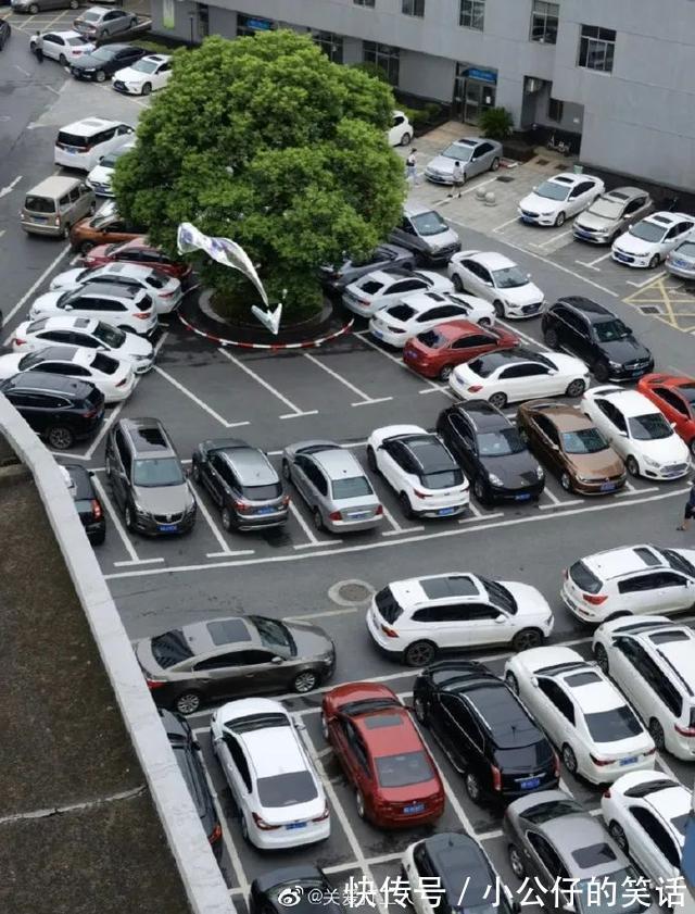 |反诈骗app是真的能反诈骗 冷段子1917