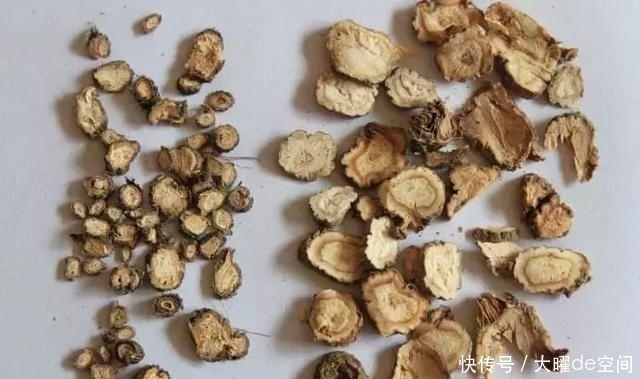 它的止咳功效幾近川貝母，為什么價格卻有天淵之別？