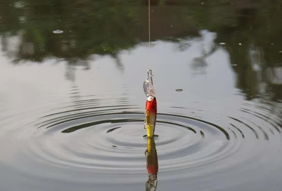 野河钓鱼不知道怎么调漂，这种方法一学就会，适合钓多种鱼