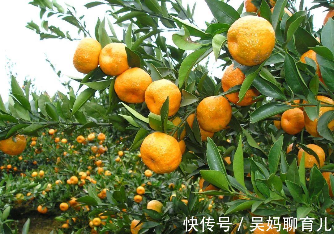 补充|经常补充这3种物质，50岁的皮肤，也可以像30岁那般靓丽