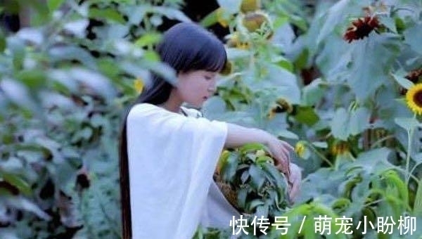 李子柒亲手制作的美食，外国人佩服的五体投地，真正的绿色美食哦