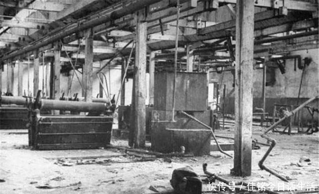 协助|苏军协助解放东北，都索取了哪些“补偿”