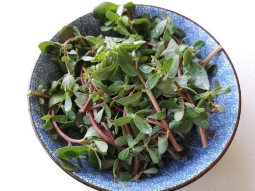 农村到处都有的菜,新鲜的时候没人要,晒干后卖50一斤被疯抢!