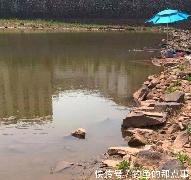 地热|早春野钓鲫鱼“黄金”水深,是深水还是浅水,看看就知道选钓位了