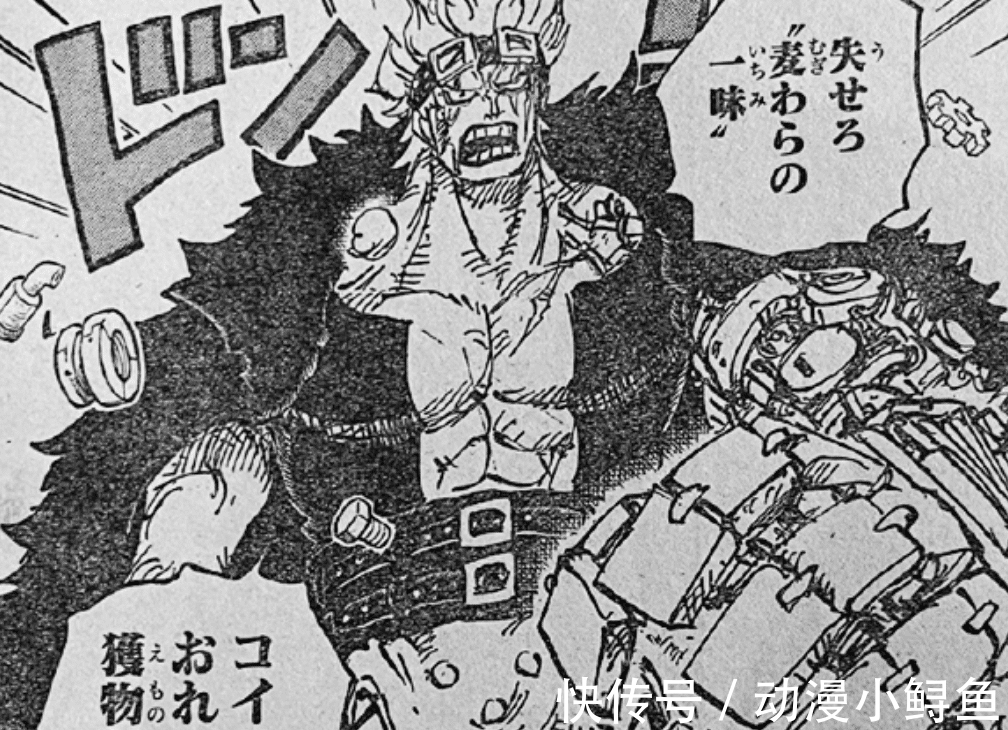 小玉|海贼王1013话:宙斯被吃掉,基德救下娜美和乌索普