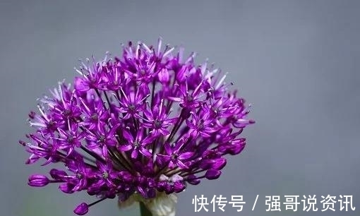 双鱼|下个月，似水流年，花香自来，念你极深，复合相依，相忘于江湖