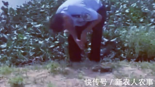 男子|海南岛一男子野钓发现意外收获,惊喜变成了惊吓,警察也到现场了