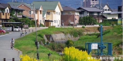 真实的日本农村，看完让人叹为观止！不服不行