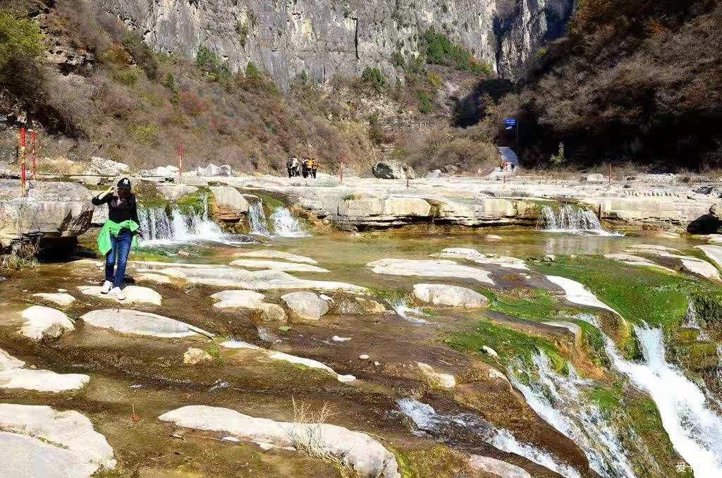 陵川红豆杉大峡谷