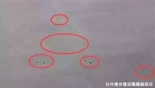 野钓发现3种信号，说明“大家伙”来了，万万不要胡乱提竿